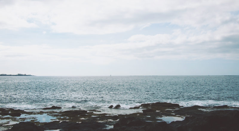 free-stock-photos-epicantus