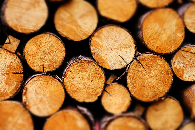 free-stock-photos-freeimagebank