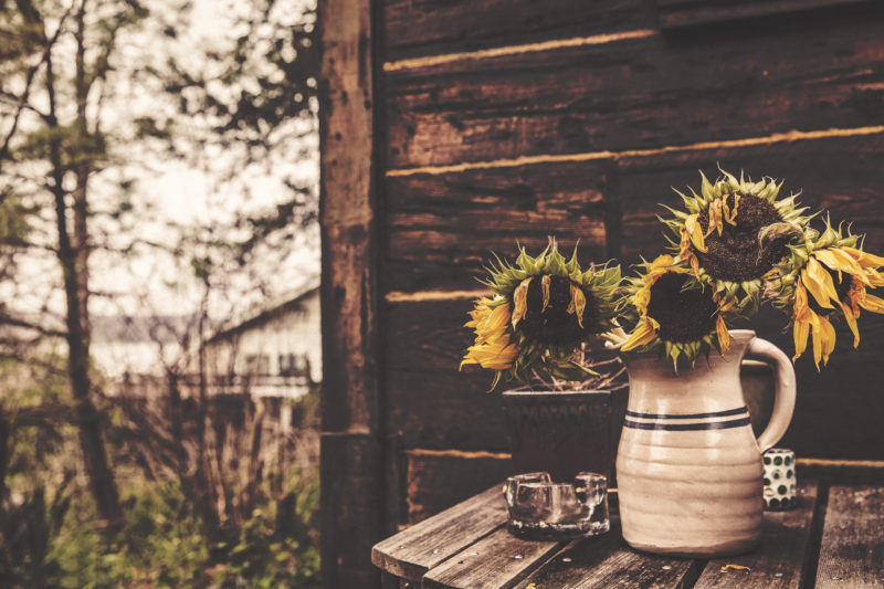 free-stock-photos-gratisography