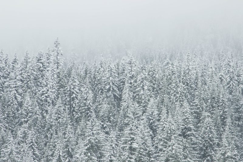 free-stock-photos-publicdomainarchive